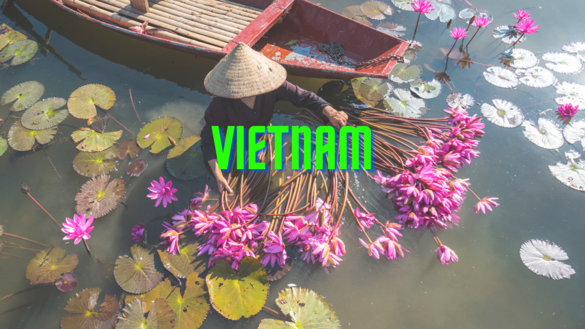Vietnam Travel Tips